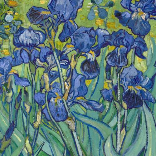 mare-di-nessuno:Flowers courtesy of Vincent Van GoghIrises, 1889 (detail) - Basket of Pansies, 1887 