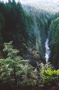 Weed&Nature