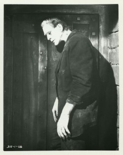 universalmonsterstribute:   Frankenstein