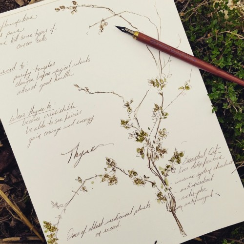 oakandhawthorn: First of many. #the100daysproject on Instagram Michelle Frances, Oak and Hawthorn