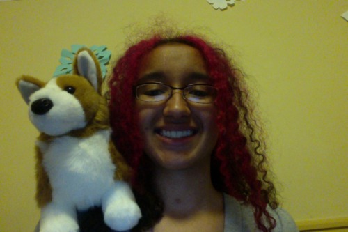 situationalstudent: My friend got me this adorable stuffed corgi and a fabulous Hanukkah card for Se