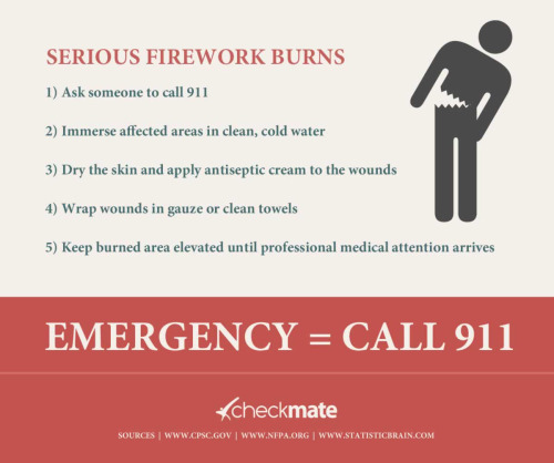 cranquis:cranquis:coolhealthinfographics:July 4th in America [ infographic ]Read on for fireworks sa