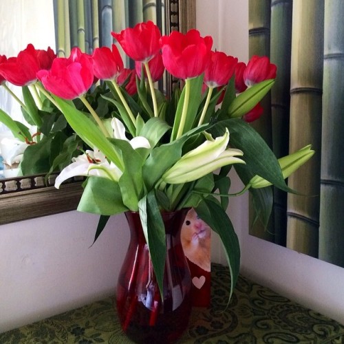 This is how my Valentine’s Day flowers look today, beautifully blooming! #thankyou @toasttajir