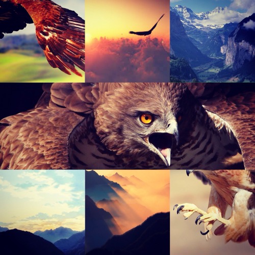 gryphon aesthetic