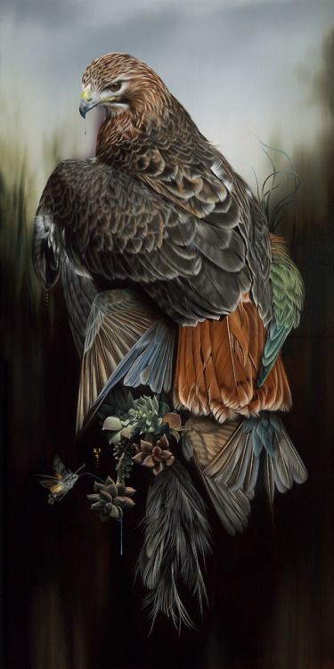 itscolossal: Fierce Feathered Portraits of Brooding Birds by Josie Morway