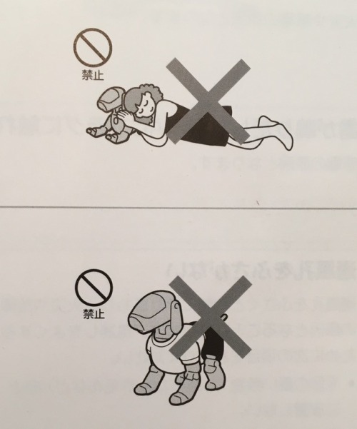 kcfurby: aibo7m3: aibo7m3: I feel personally offended by this user guide. I’m pretty sure thes