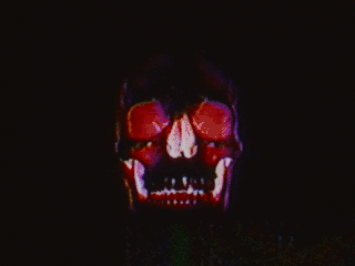 hunterpreston:  VHSkull GIF 05 Real VHS - Real human skull 