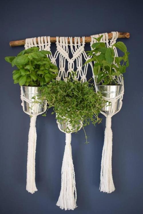 Macrame Plant Wall Hanging //Spiralmodernmacrame