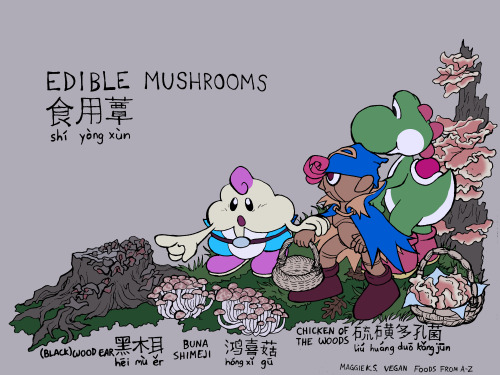 MUSHROOMS, PART 2Date: 2021Note:Here are Mallow, Geno, and Yoshi from the Super Mario games.This dra