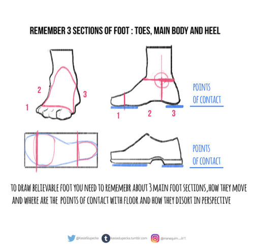 art-res:kasiaslupecka:Weekly anatomy tip!This week I tackle feet. I know how many of you asked for i
