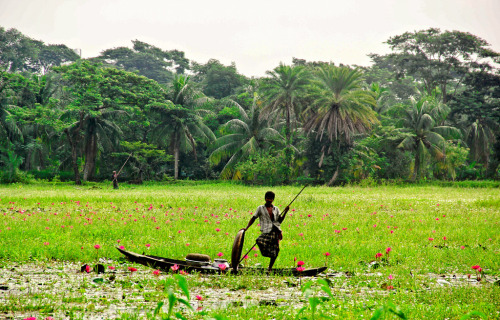 soon-monsoon:Somewhere in Bangladesh by Ishtiak Shuvo
