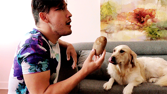 markired:  mark, sing to a potato to unlock chica’s ancient powers!