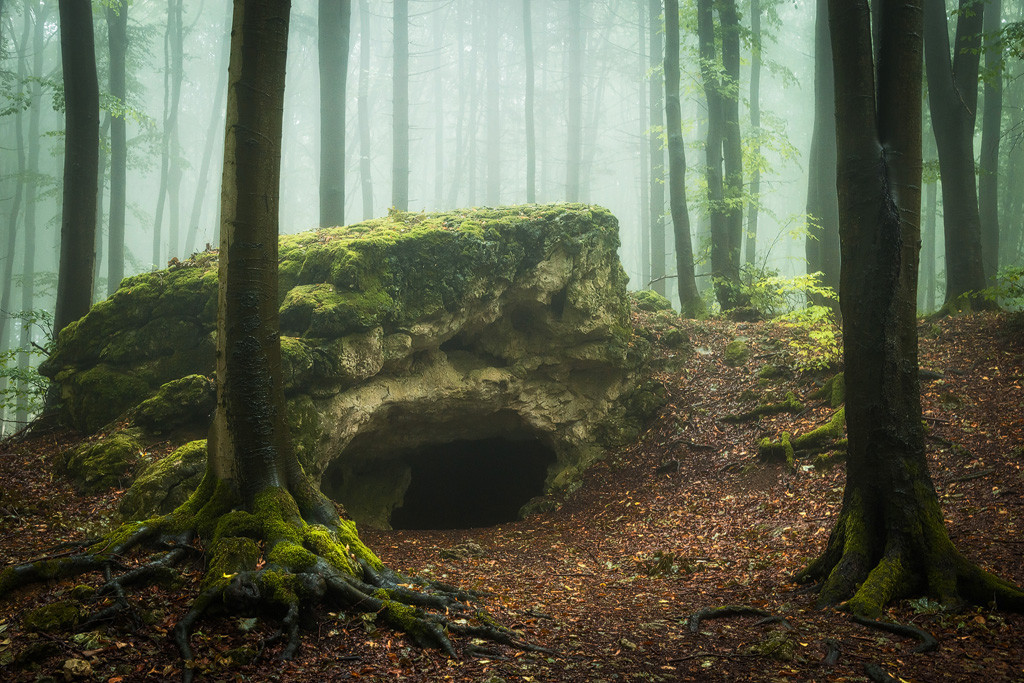 archatlas:  Secret Woods  Heiko Gerlicher is a 47 year old award winning photographer