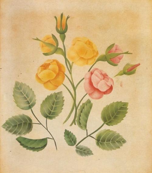 Kaspar Hauser, Flowers On May 26, 1828, Hauser was brought before the authorities in Nürnberg, apparently bewildered and...
