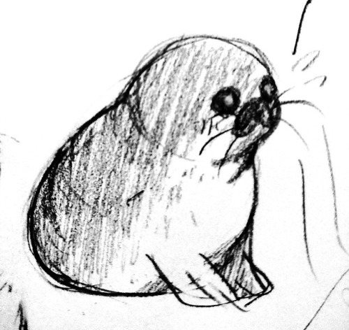 polyglotplatypus:here are some of the best seals i drew while taking the train today