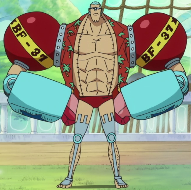 One piece: Heart of gold Franky  One piece tumblr, Character