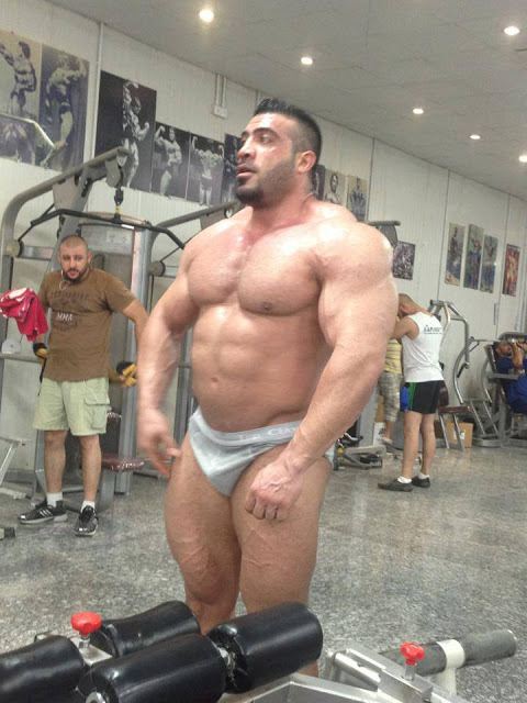 drwannabe:  Ali Hani