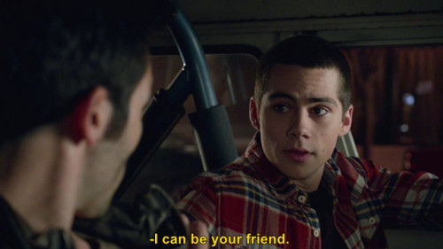 sterek