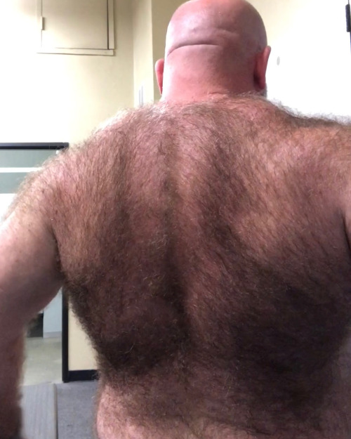hairybacker: Hairy Back 31