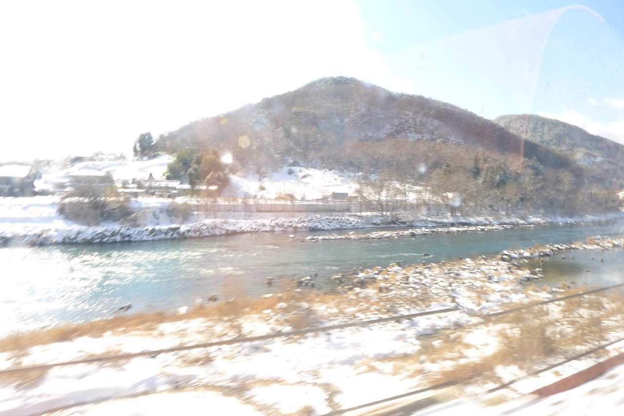 playing around with shutter speed on the bus- I like these.