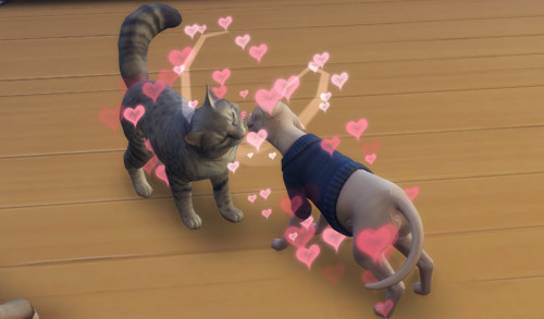 sims 4 casual woohoo sims 4 casual woohoo