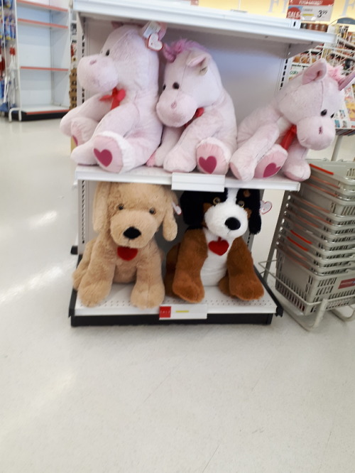 @compassionatedestiny imagine Tim giving Isabel one of these giant stuffed animals