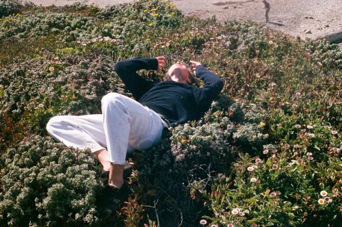 coasthouse:flower boy basking in the glory of life 