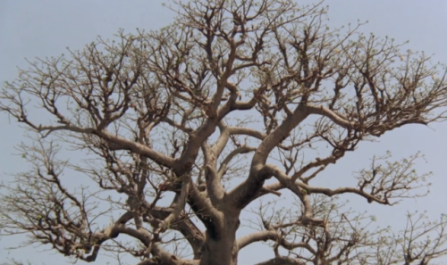 folie-atwo:Ceddo (1977, Ousmane Sembène)