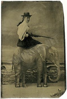 Unusual elephant photography prop, 1890 |We need to give them back their future. When you like, foll
