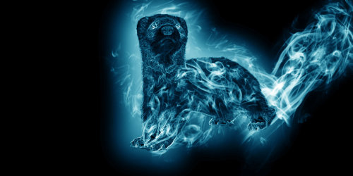 patronusmeaning-blog: Patronus Analysis 044 Polecat  Those with the polecat patronus are playful or 