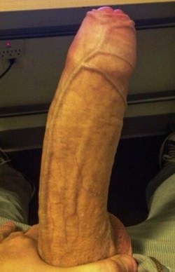 2hot2bstr8:  FUCKKKKKK that is one BEAUTIFUL looking dick……i want that veiny foreskin in my mouth right this second♡ 