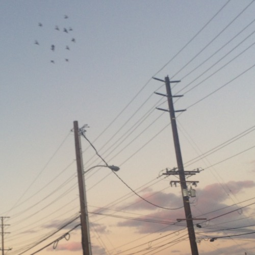 honeysyrup:  The other day felt like a dream
