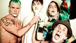 guissepi:the red hot chili peppersi’m with youflea, josh klinghoffer, anthony kiedis, chad smith