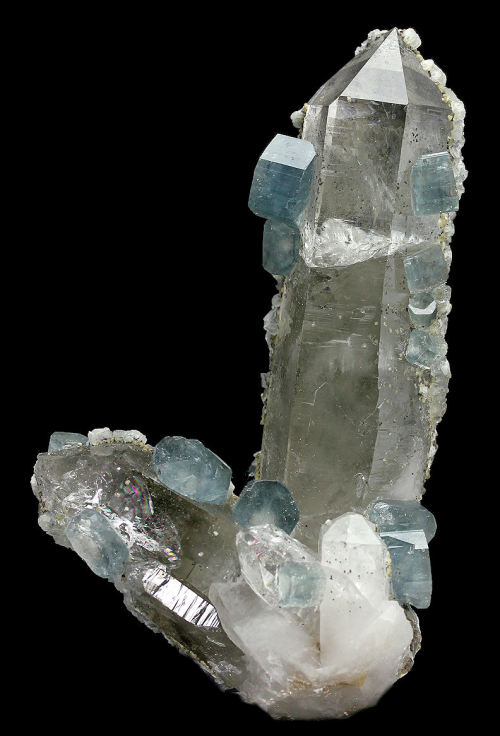 Blue Apatite Crystals on Quartz - Panasqueira Mines, Panasqueira, Covilhã, Castelo Branco Dis