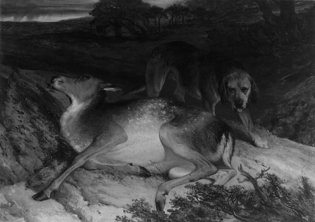 Wounded Stag and Dog by Edwin Henry Landseer, 1825.alt title: Halloween, 1981 #art#marauders #padfoot and prongs #james potter #dead james potter #sirius black #somewhat alive sirius black #prongs#padfoot#deer #idk how to format art