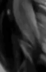 every-seven-seconds:  Military Jacket Girl Striptease