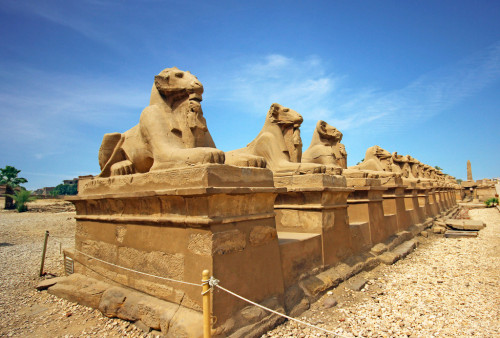 egypt-museum:Grand Avenue of RamsCourtyard with ram-headed sphinxes originally used to line the Corr