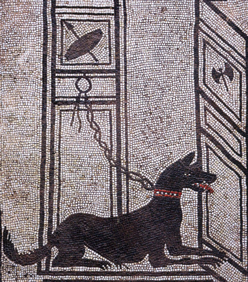  Watch dog at open door. Mosaic from the Casa di Paquius Proculus in Pompeii By: Wolfgang Rieger (CC