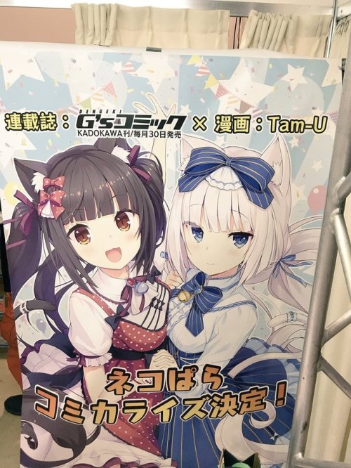 otakunews01: Nekopara Game Gets Manga Adaptation 