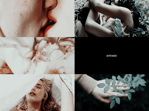 f/f february: artemis &amp; aphroditerequested by @femmish