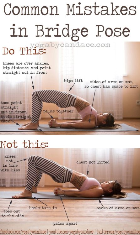 Bridge Pose Benefits [Setu Bandhasana] ➡ tblr.ahealthblog.com/znfn