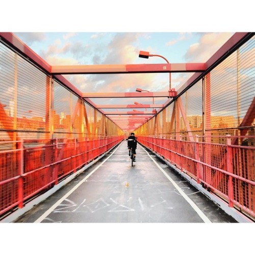 hello-velo: Photo by donalrey Connect with Hello-Velo on Instagram @tommy_takeiteasy