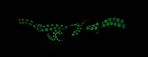 Glow-in-the-dark Tentacle Collar! This Project Has Been Sitting On My Back Burner For Way Too Long, Its