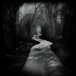 rosenrotnight:  Darkest Path by *intao 