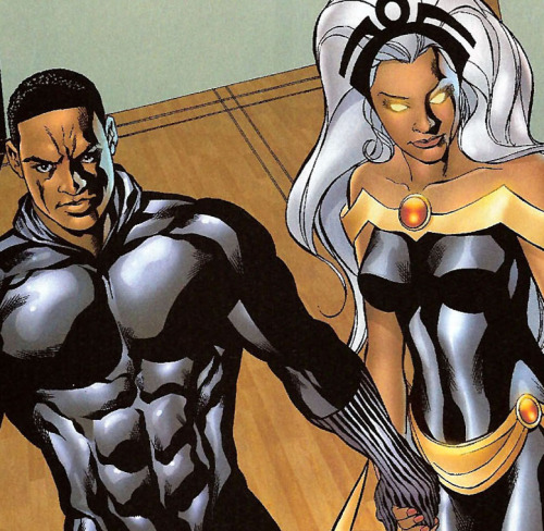 thedauntlessbrave:  chocolatecakesandthickmilkshakes:  cultureunseen:  STORM & Black Panther…  We need this  Perfect couple is perfect.