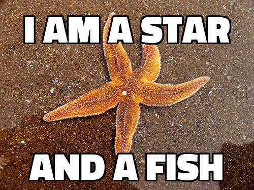 beesplaybanjos: so on skype there is a meme bot that can generate basic pics and