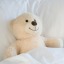 tedsinbed