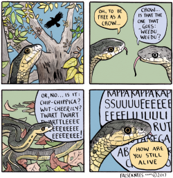 falseknees:Snakes: a False Knees premiere