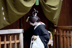 geisha-kai:  geiko Mameshino by ONIHIDE on