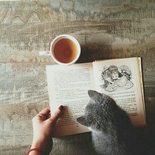 brookbooh:My favorite things in lifeCatsBooksCoffee